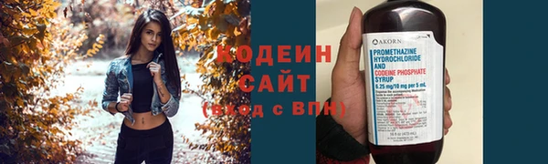 трава Белокуриха