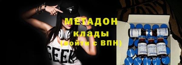 трава Белокуриха