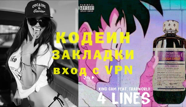 трава Белокуриха