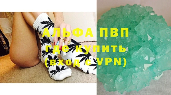 трава Белокуриха