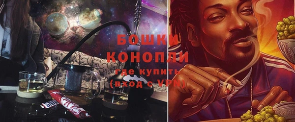 трава Белокуриха