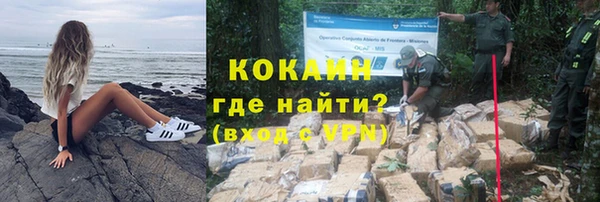 трава Белокуриха